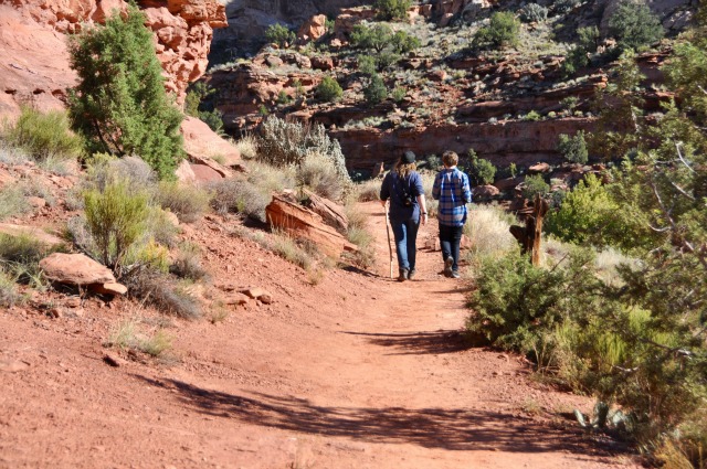 boys_on_the_trail